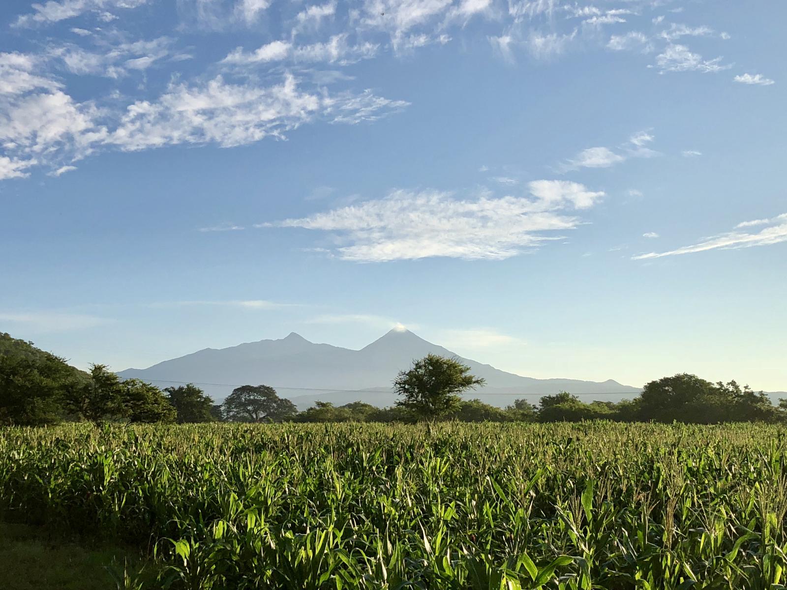 productores agropecuarios